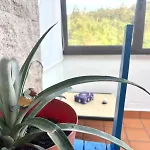 Holibai, Feiticeira, Vacaciones Familiares, Casa De Ensueno En Galicia Prázdninový dům