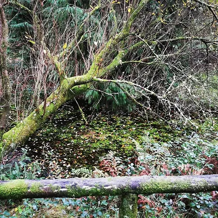 Сasa de vacaciones Holibai, Feiticeira, Vacaciones Familiares, Casa De Ensueño En Galicia